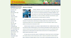Desktop Screenshot of caledonian-cables.com